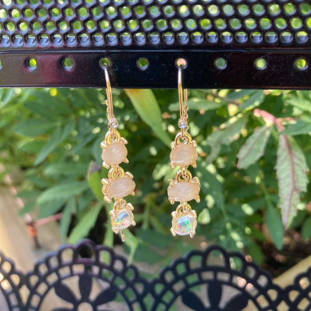 Dainty Drop Earrings NWOT